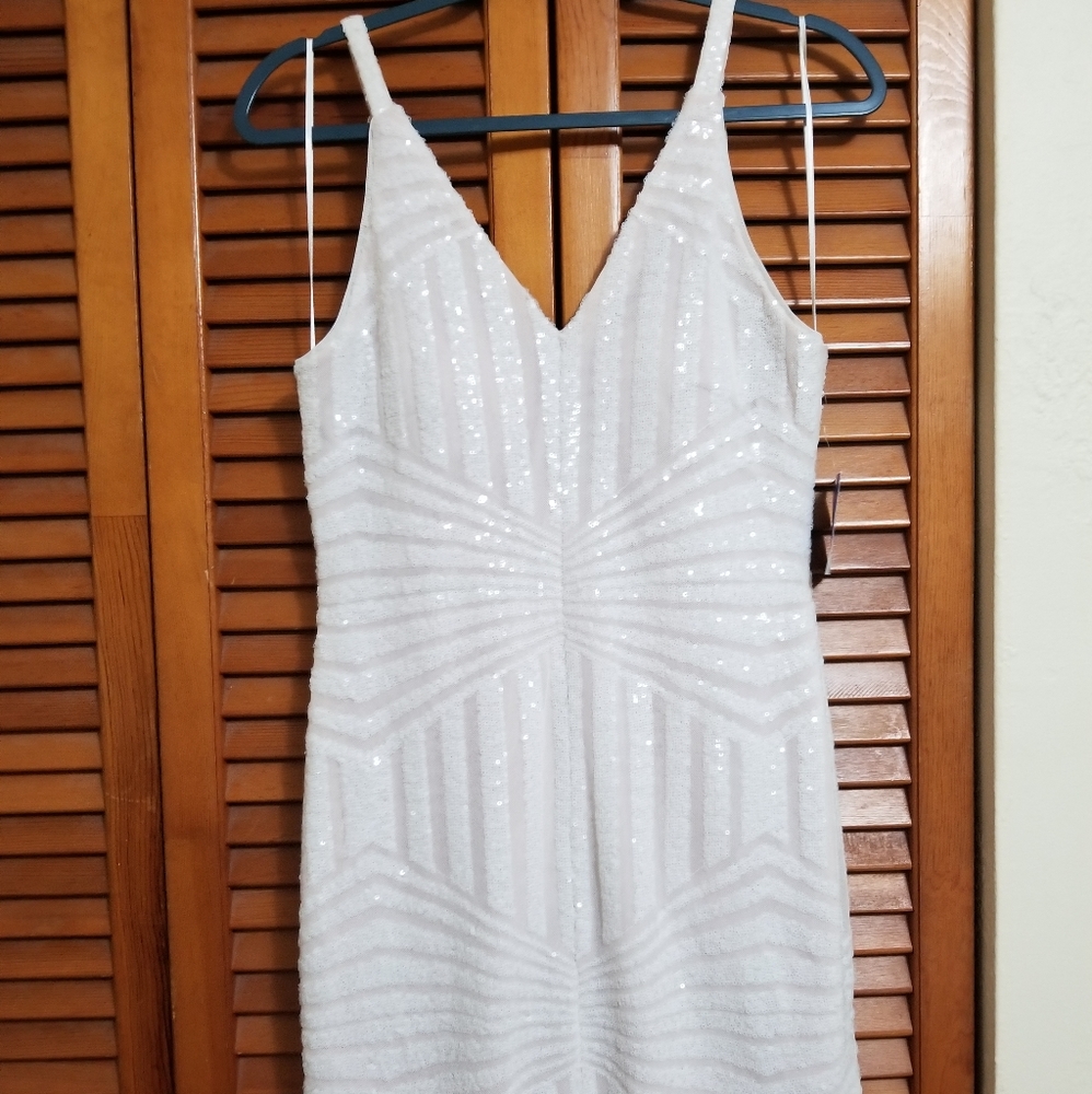 Beautiful Occasion Sequin Dress